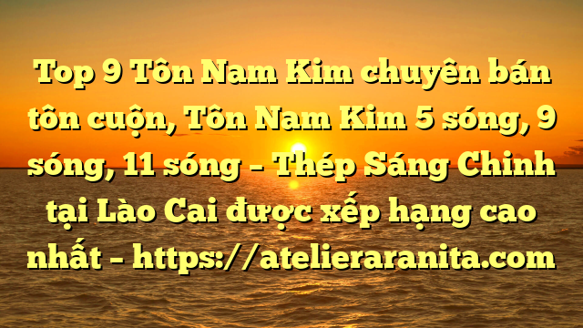 Top 9 Tôn Nam Kim chuyên bán tôn cuộn, Tôn Nam Kim 5 sóng, 9 sóng, 11 sóng – Thép Sáng Chinh tại Lào Cai  được xếp hạng cao nhất – https://atelieraranita.com